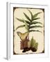 J2016-Ferns On Vintage Tin-E-Jean Plout-Framed Giclee Print