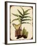 J2016-Ferns On Vintage Tin-E-Jean Plout-Framed Giclee Print