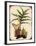 J2016-Ferns On Vintage Tin-E-Jean Plout-Framed Giclee Print