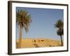 Jabal El Mawta, Oasis of Siwa, Egypt, North Africa, Africa-Groenendijk Peter-Framed Photographic Print