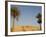 Jabal El Mawta, Oasis of Siwa, Egypt, North Africa, Africa-Groenendijk Peter-Framed Photographic Print