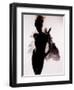 Jabberbug-India Hobson-Framed Photographic Print