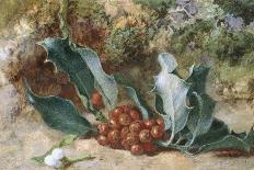 Christmas Holly-Jabez Bligh-Giclee Print