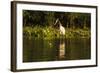 Jabiru Stork-Joe McDonald-Framed Photographic Print