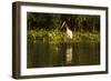 Jabiru Stork-Joe McDonald-Framed Photographic Print