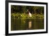 Jabiru Stork-Joe McDonald-Framed Photographic Print