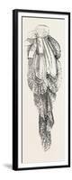 Jabot Necktie, Fashion, 1882-null-Framed Giclee Print