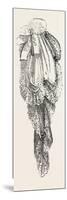 Jabot Necktie, Fashion, 1882-null-Mounted Giclee Print