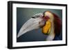 Jabrix-Fahmi Bhs-Framed Photographic Print