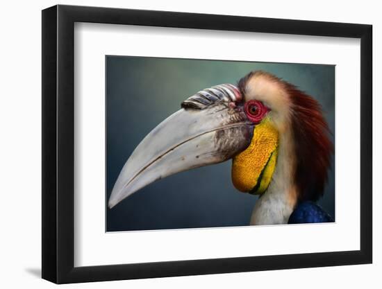 Jabrix-Fahmi Bhs-Framed Photographic Print