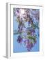 Jacaranda Tree II-Kathy Mahan-Framed Photographic Print