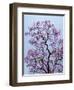 Jacaranda Trees Blooming in City Park, Buenos Aires, Argentina-Michele Molinari-Framed Photographic Print