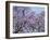 Jacarandas Trees Bloom in City Parks, Parque 3 de Febrero, Palermo, Buenos Aires, Argentina-Michele Molinari-Framed Premium Photographic Print