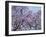 Jacarandas Trees Bloom in City Parks, Parque 3 de Febrero, Palermo, Buenos Aires, Argentina-Michele Molinari-Framed Premium Photographic Print