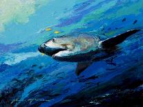 The Lawyer Breeching Great White Shark-Jace D. McTier-Giclee Print