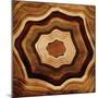 Wood Mount