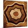 Wood Mount