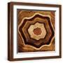 Brown Frame