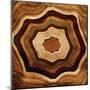 Wood Mount
