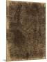 Wood Mount