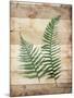 Wood Mount