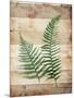 Wood Mount