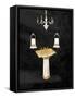 Framed Canvas