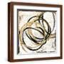 Brown Frame