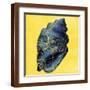 Brown Frame