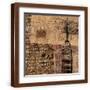 Brown Frame
