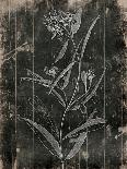 Wood Floral-Jace Grey-Art Print