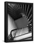 Essential Black