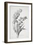Jacinthe Double, from Fleurs Dessinees D'Apres Nature, C. 1800-Gerard Van Spaendonck-Framed Giclee Print