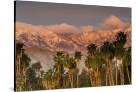 Jacinto and Santa Rosa Mountain Ranges, Palm Springs, California, USA-Richard Duval-Stretched Canvas