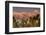 Jacinto and Santa Rosa Mountain Ranges, Palm Springs, California, USA-Richard Duval-Framed Premium Photographic Print