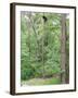 Jack, a 15-Pound Cat, Sits under a Treed Black Bear in a Backyard in West Milford, New Jersey-null-Framed Photographic Print