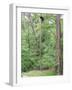 Jack, a 15-Pound Cat, Sits under a Treed Black Bear in a Backyard in West Milford, New Jersey-null-Framed Photographic Print