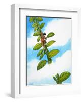 Jack and the Beanstalk-Nadir Quinto-Framed Giclee Print