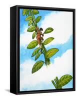 Jack and the Beanstalk-Nadir Quinto-Framed Stretched Canvas