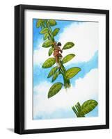 Jack and the Beanstalk-Nadir Quinto-Framed Giclee Print