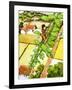 Jack and the Beanstalk-Nadir Quinto-Framed Giclee Print