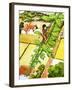 Jack and the Beanstalk-Nadir Quinto-Framed Giclee Print