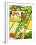 Jack and the Beanstalk-Nadir Quinto-Framed Premium Giclee Print