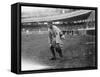 Jack Bliss, St. Louis Cardinals, Baseball Photo - St. Louis, MO-Lantern Press-Framed Stretched Canvas