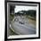 Jack Brabham Leading the Race, British Grand Prix, Brands Hatch, Kent, 1966-null-Framed Photographic Print