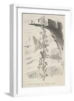 Jack Climbing the Bean Stalk-George Cruikshank-Framed Giclee Print