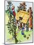 Jack Climbs the Beanstalk, Illustration from 'Jack and the Beanstalk', 1969-English School-Mounted Giclee Print