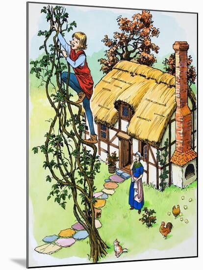 Jack Climbs the Beanstalk, Illustration from 'Jack and the Beanstalk', 1969-English School-Mounted Giclee Print