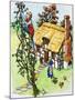 Jack Climbs the Beanstalk, Illustration from 'Jack and the Beanstalk', 1969-English School-Mounted Giclee Print