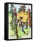 Jack Climbs the Beanstalk, Illustration from 'Jack and the Beanstalk', 1969-English School-Framed Stretched Canvas
